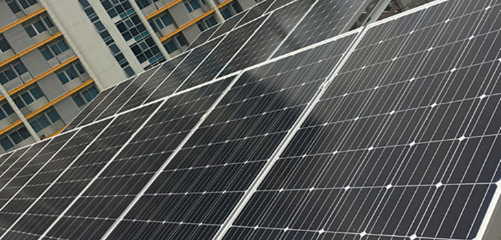 longi-solar-array.jpg