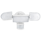 Rich Solar Motion Security Light